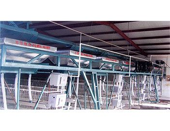 蛋、種雞自動(dòng)給料機(jī)